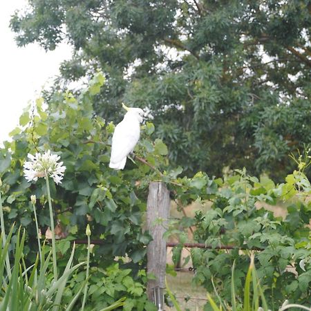 Bed and Breakfast Amble At Hahndorf Esterno foto