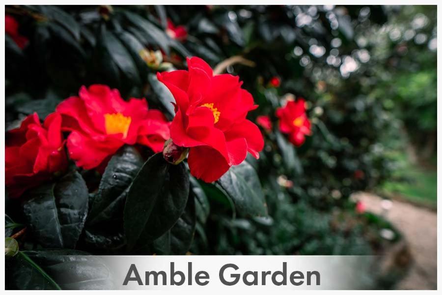 Bed and Breakfast Amble At Hahndorf Esterno foto