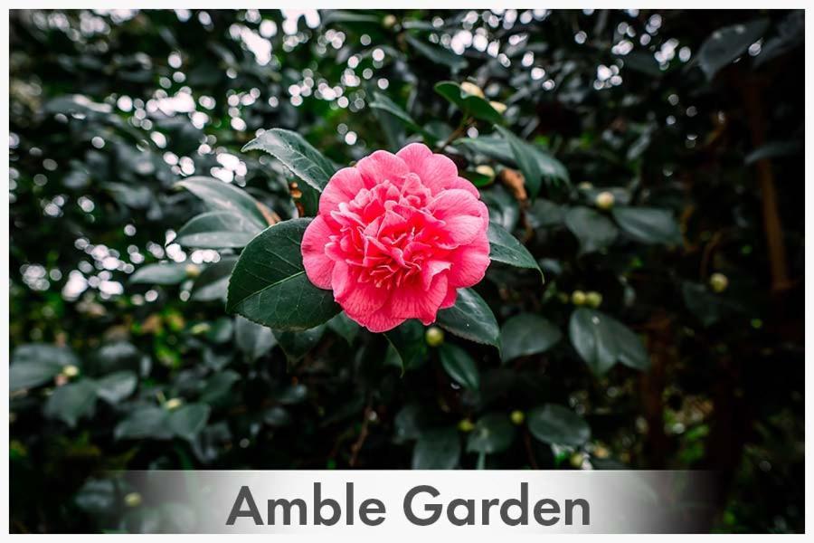 Bed and Breakfast Amble At Hahndorf Esterno foto