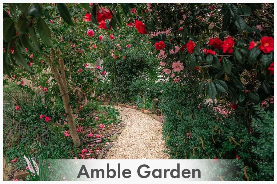 Bed and Breakfast Amble At Hahndorf Esterno foto