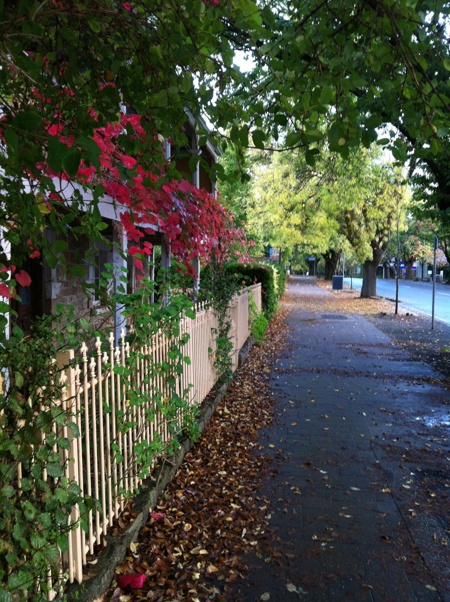 Bed and Breakfast Amble At Hahndorf Esterno foto