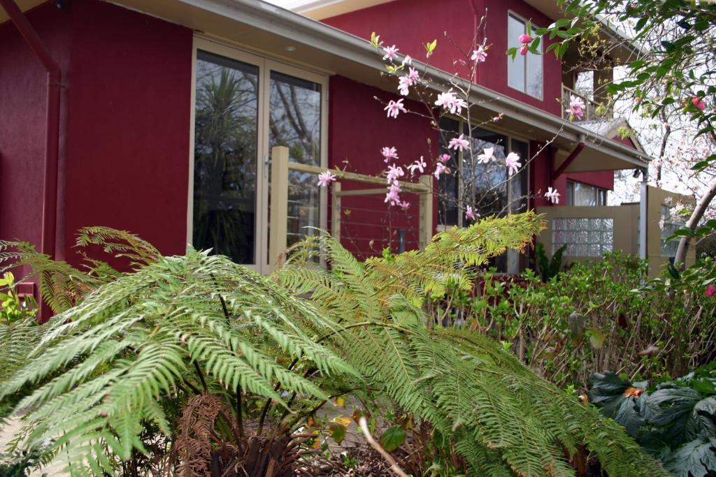 Bed and Breakfast Amble At Hahndorf Esterno foto