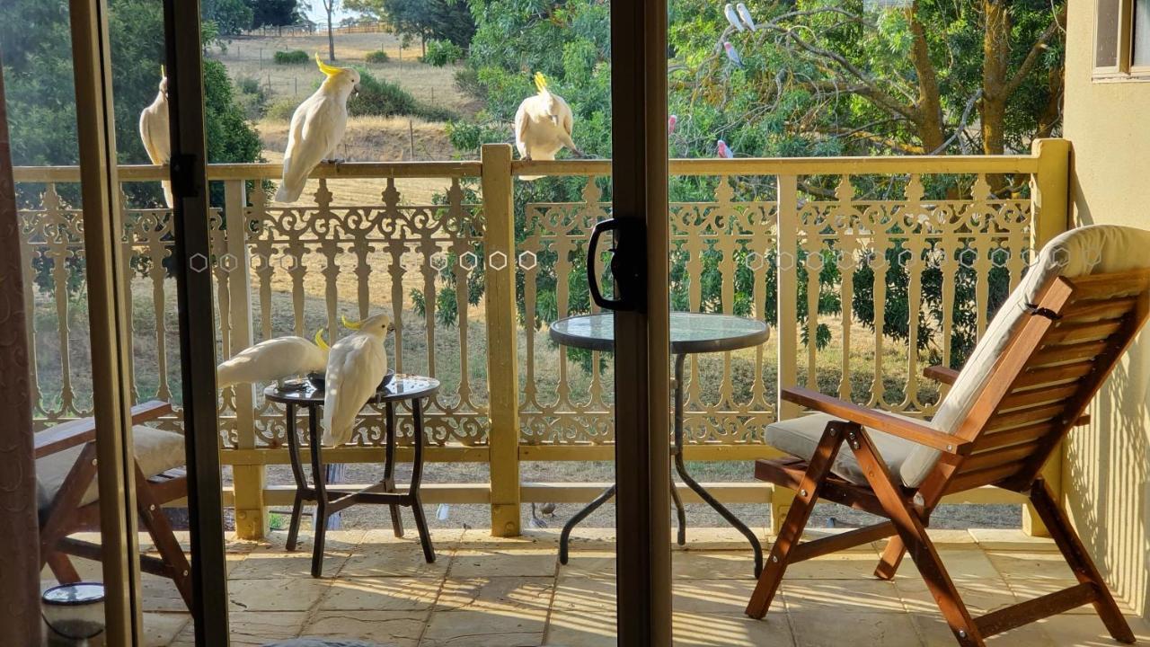 Bed and Breakfast Amble At Hahndorf Esterno foto