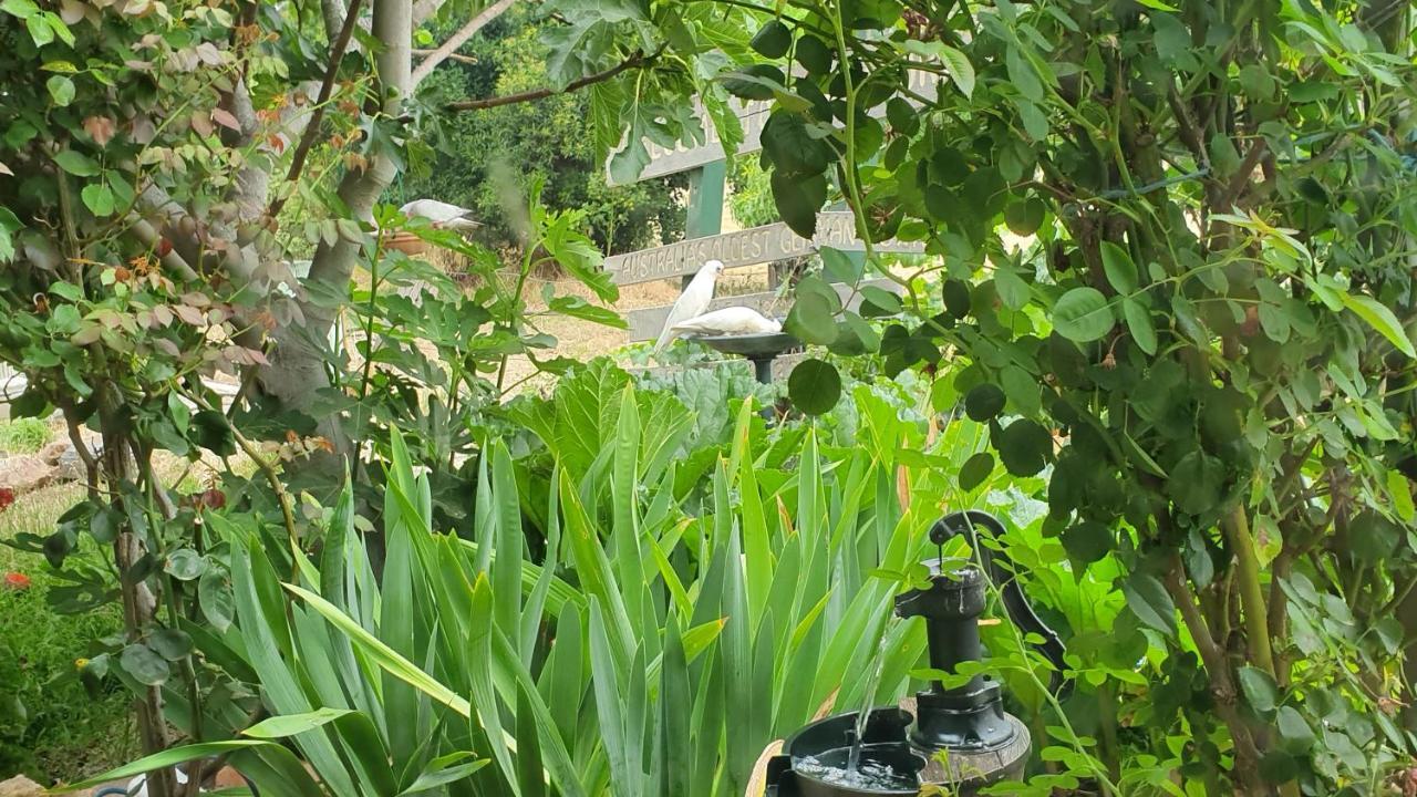 Bed and Breakfast Amble At Hahndorf Esterno foto