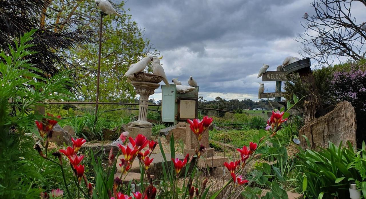 Bed and Breakfast Amble At Hahndorf Esterno foto